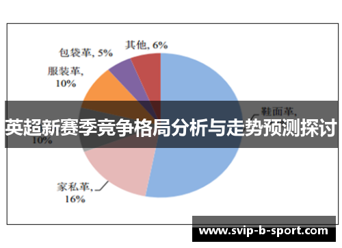 英超新赛季竞争格局分析与走势预测探讨 英超新赛季竞争格局分析与走势预测探讨