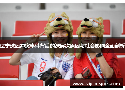 辽宁球迷冲突事件背后的深层次原因与社会影响全面剖析
